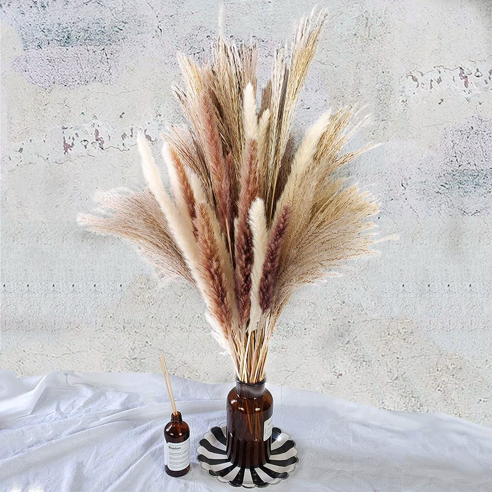 Total 60 Pcs | 15 Pcs White Pampas & 15 Pcs Brown Pampas & 30 Pcs Reed Grass/Natural Dried Pampas Grass for Flower Arrangements Home Decor image number 3