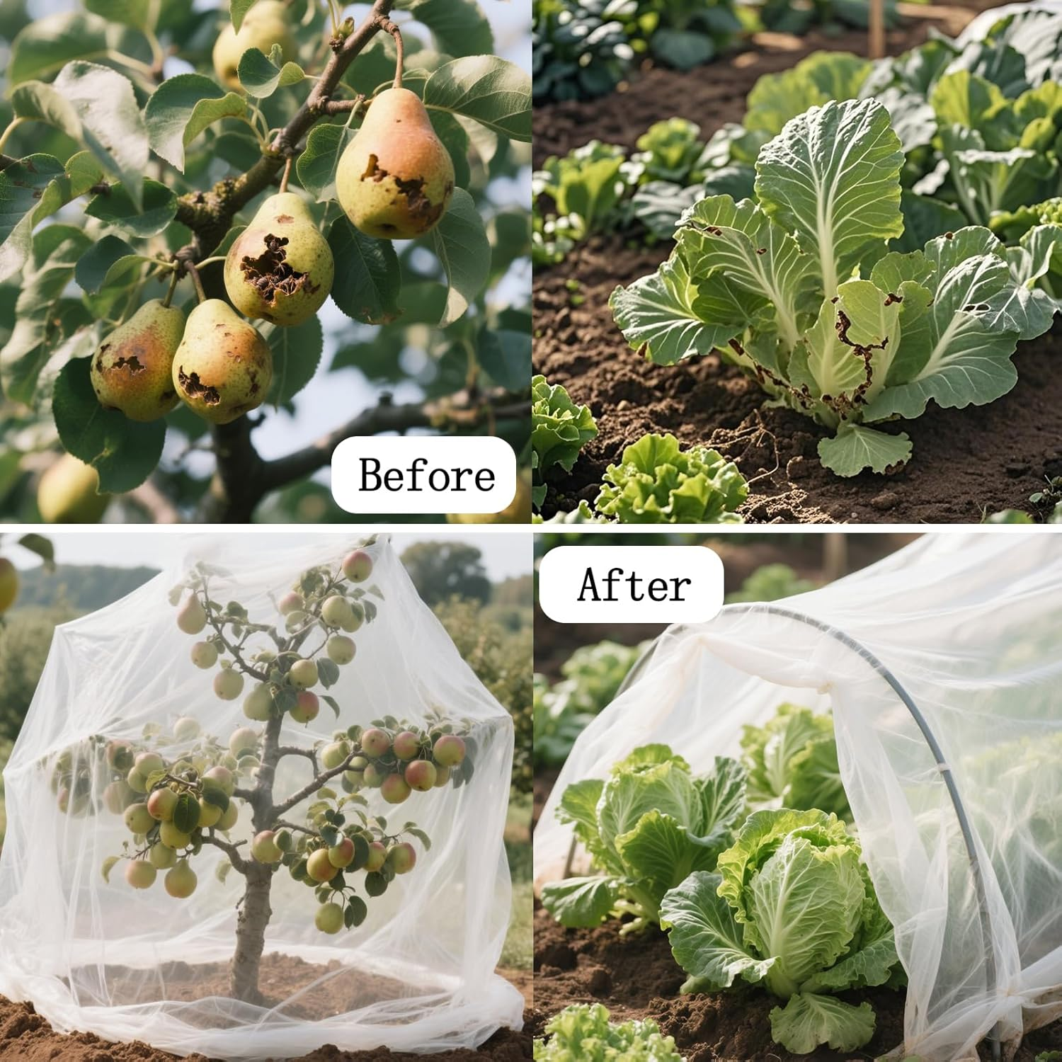5X2M Garden Net Plant Insect Net Fruit Net Protection Bag Bird and Butterfly Net for Protecting Vegetables Fruits Plants Flowers and Crops Suitable for Planting Tunnels Greenhouses Outdoor and Indoor image number 6