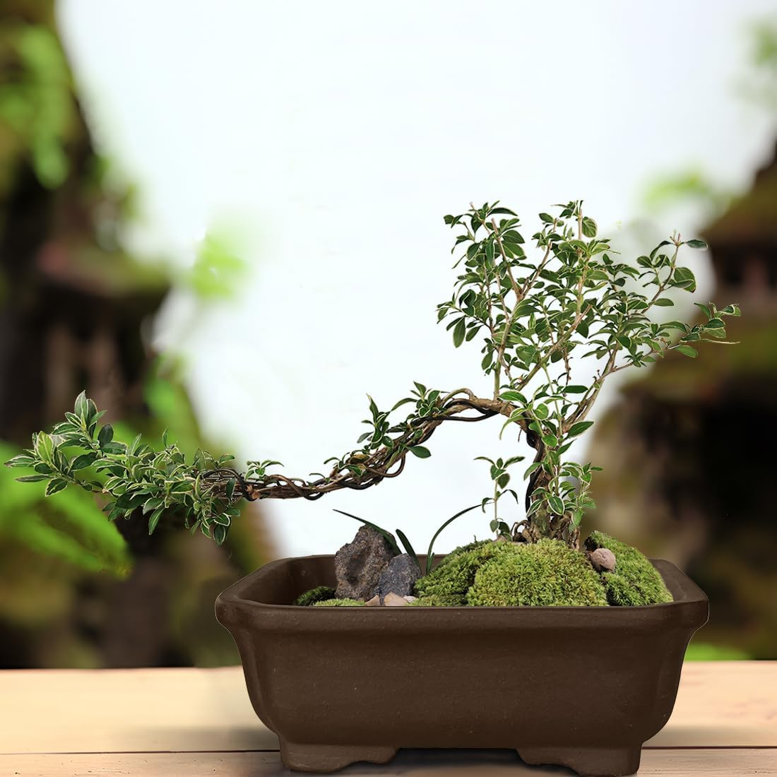 MUZHI 2PACK Unglazed 6&rdquo; Ceramic Bonsai Pot with Humidity Trays, Breathable Handmade Rectangle Bonsai Planter for Starter Bonsai Tree, Juniper,Ficus, Money Tree image number 1