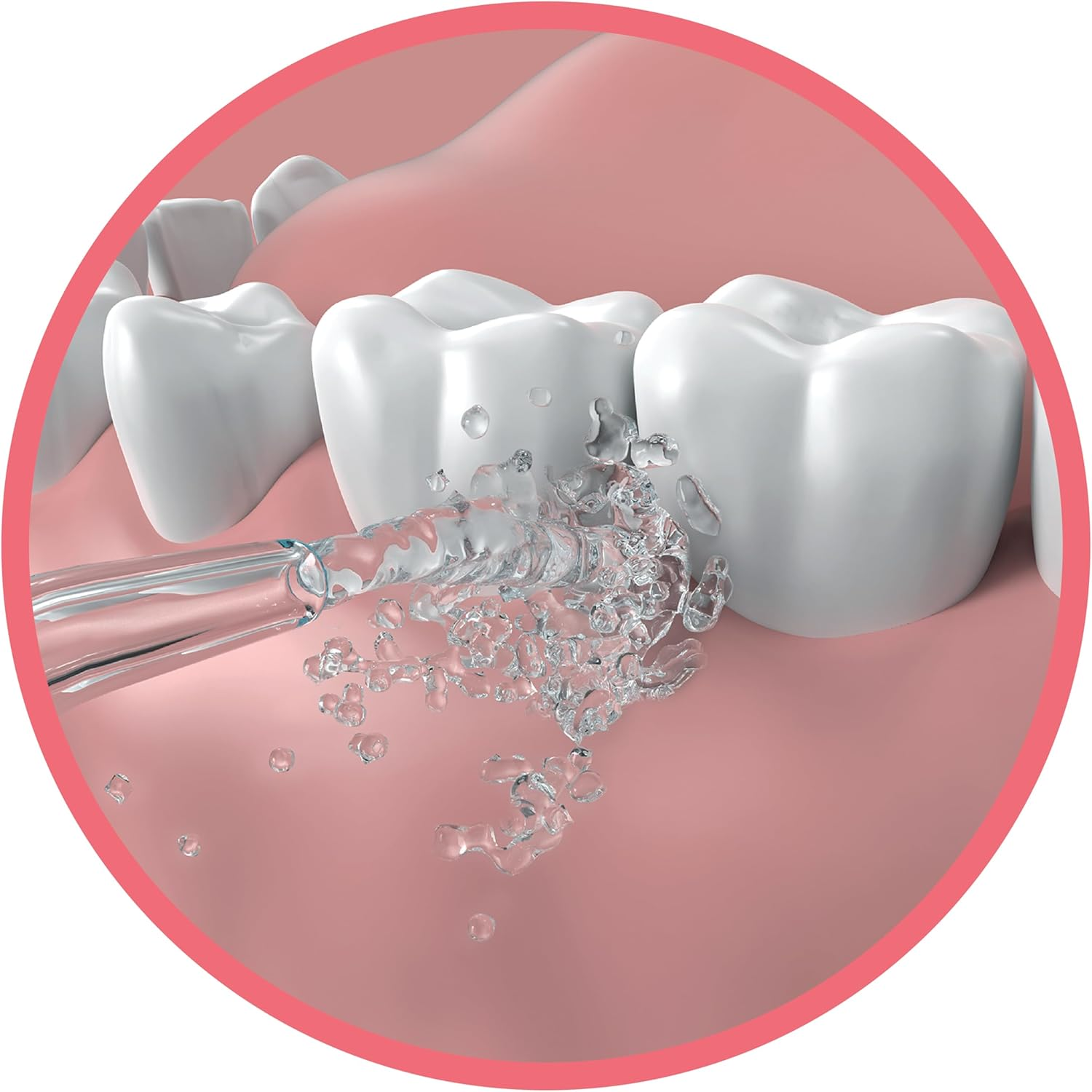 GO2 Dentagenie Water Flosser Replacement Nozzle Family Pk image number 4