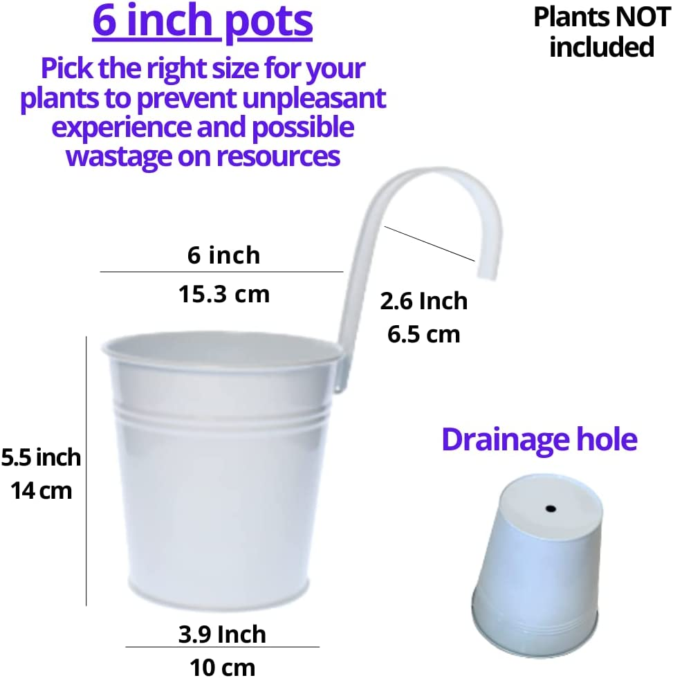 Lalagreen 6 Inch Hanging Planter Iron - 10 Pack, White Large Metal Flower Pot over Rail Balcony Railing Hanging Buckets for Plants Outdoor Fence Wall Herb Garden Succulent outside Deck Patio Porch image number 4