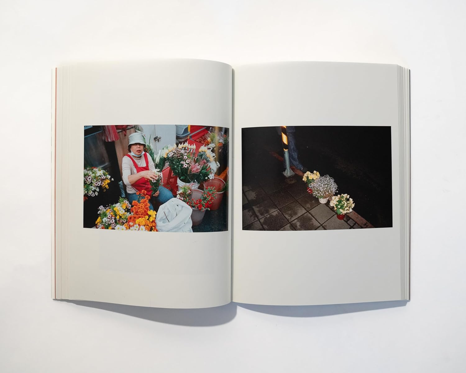 A-Gong'S Table: Vegan Recipes from a Taiwanese Home (A Chez Jorge Cookbook) image number 1