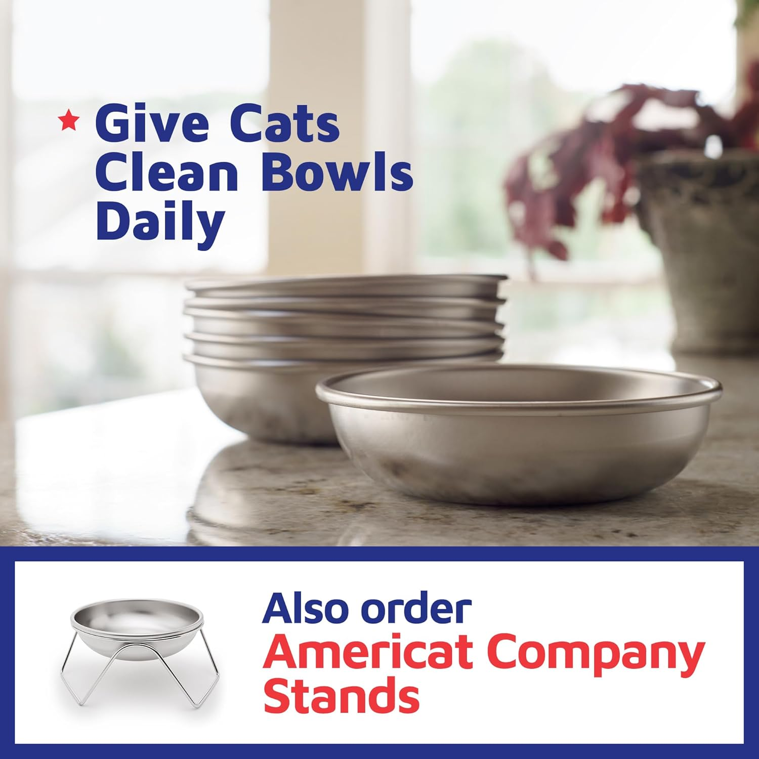 Stainless Steel Cat Bowl for Food & Water by Americat &ndash; Made in USA &ndash; Dishwasher Safe, Human Grade, Whisker Friendly Dish (1 Bowl)