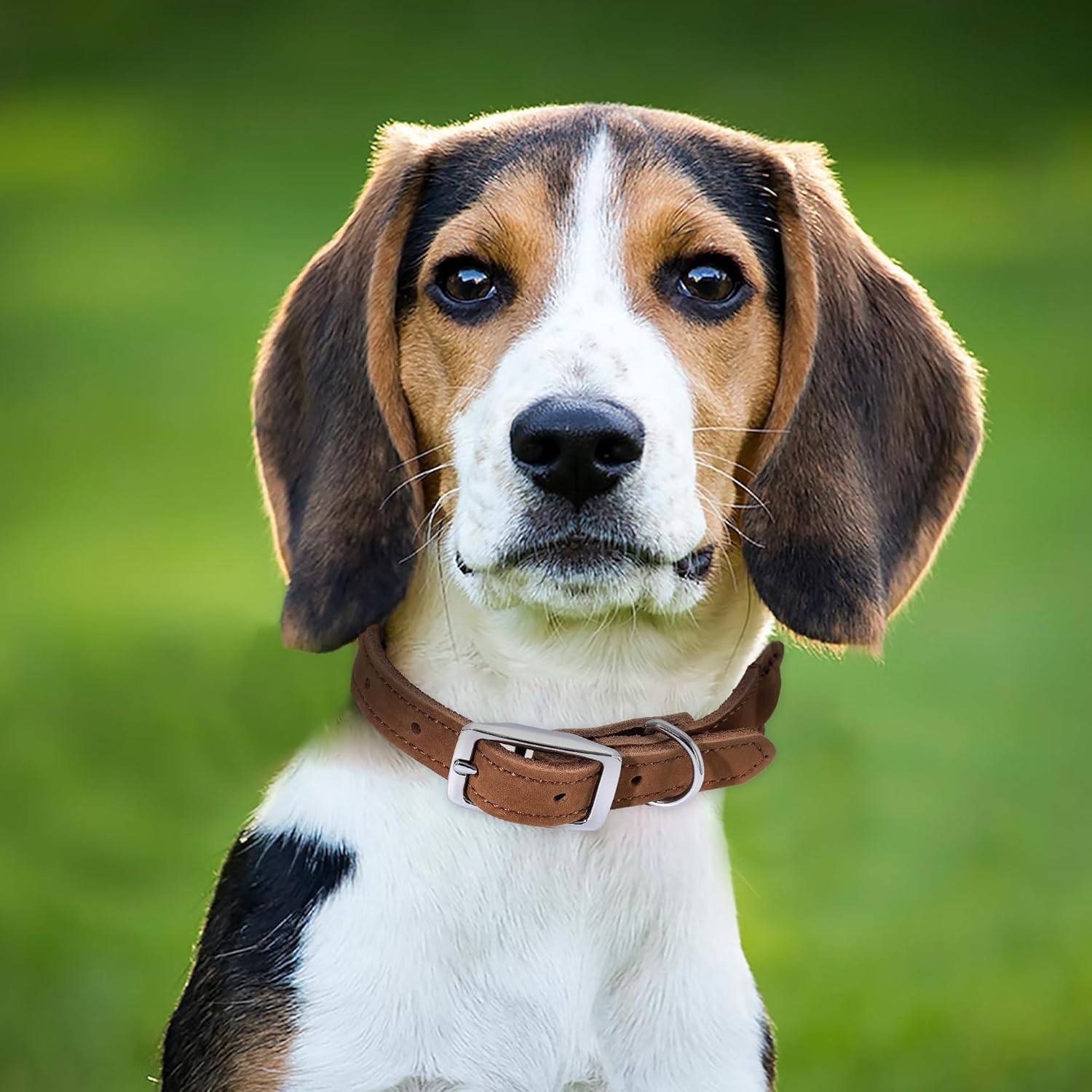 Mile High Life Premium Cotton Rope Dog Collar Made of Genuine Leather Stainless Steel Buckle Ring (M, Navy) image number 6