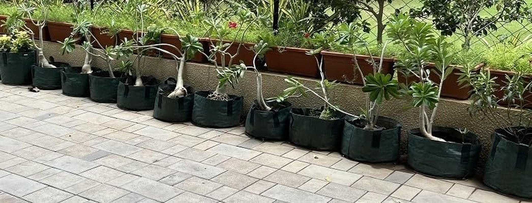 Abmat Garden Bag, 45 Litre Capacity image number 1