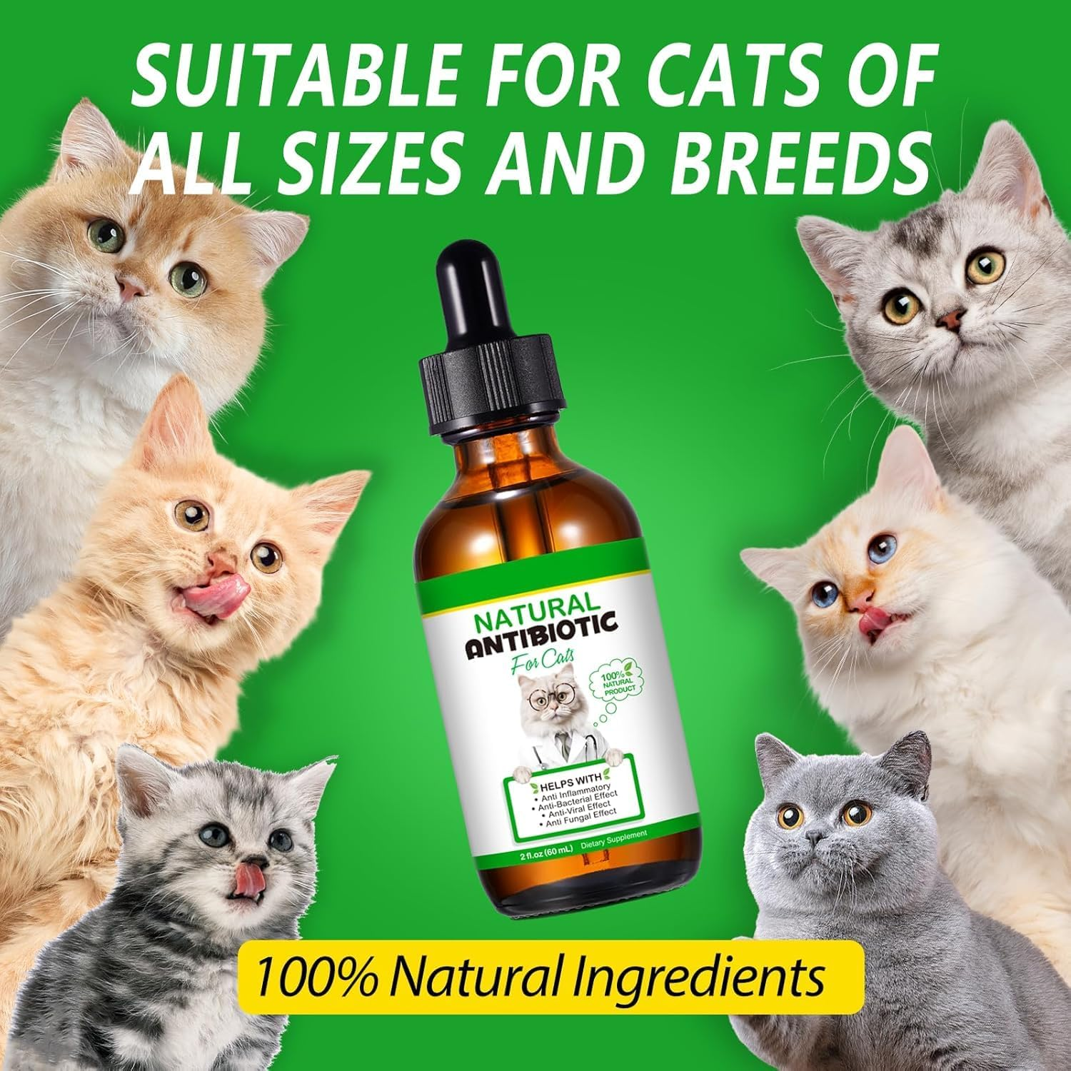 Natural Antibiotics for Cats 60Ml | All-Natural Cat Antibiotic Supplement for Allergy & Itch Relief | Supports Immune Health & Overall Wellness | Delicious Chicken Flavour