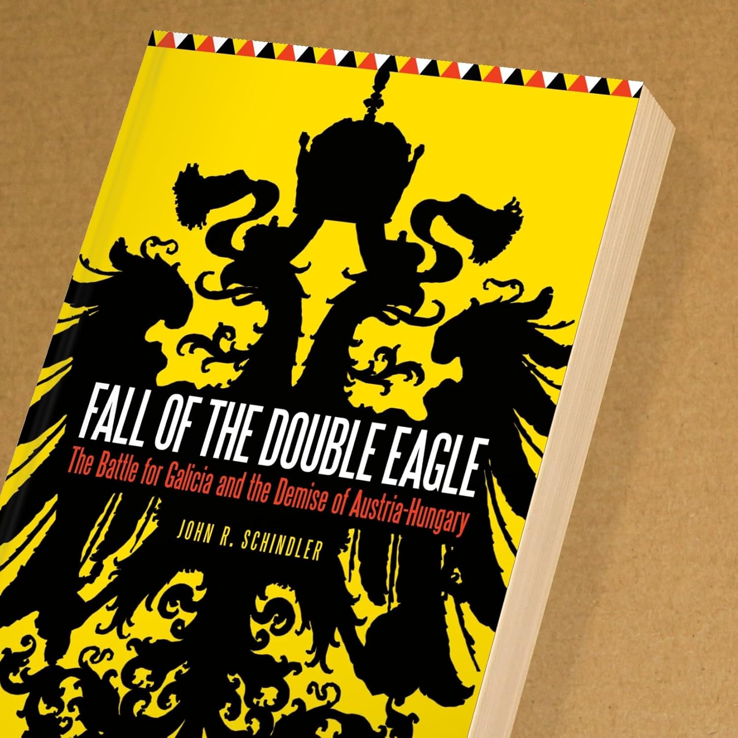 Fall of the Double Eagle: the Battle for Galicia and the Demise of Austria-Hungary image number 2