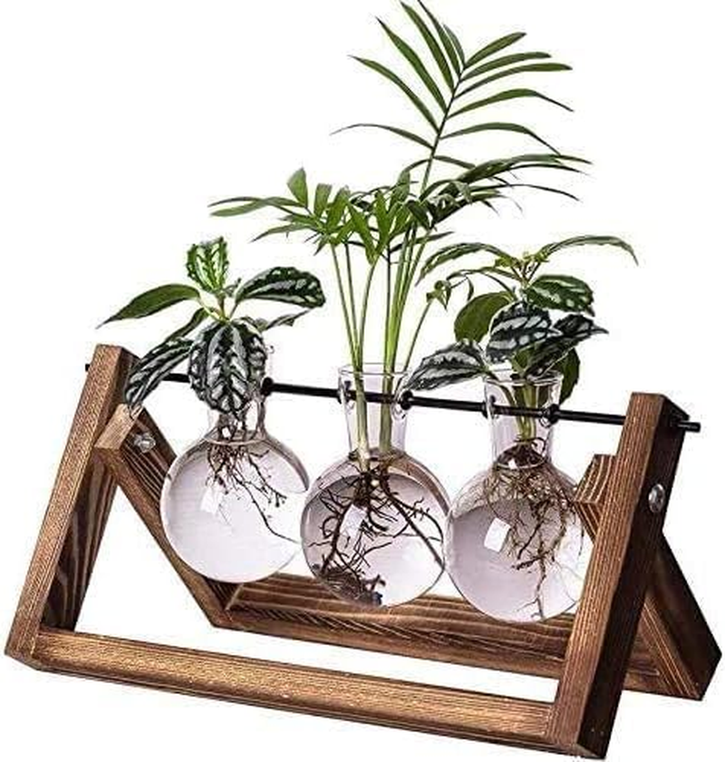 Cozioz Retro Wooden Stand Plant Propagation Station with 3 Glass Vases &ndash; Desktop Terrarium Planter for Hydroponics, Ideal for Indoor Office, Home Decor, and Gifts for Plant Lovers image number 2