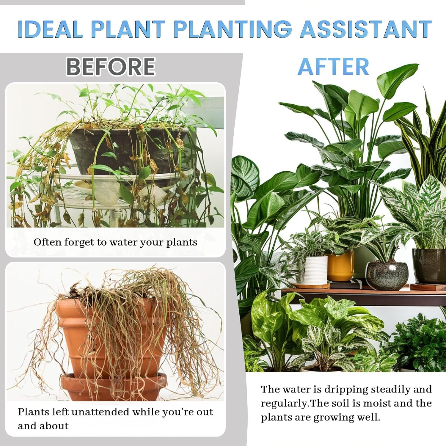 130 Feet Self Watering Wick Cord for Plants, 4Mm Self Watering Planter Insert, Self Watering Cotton Rope Plant Water for Vocation, Automatic Plant Water Indoor (130 Feet) image number 3