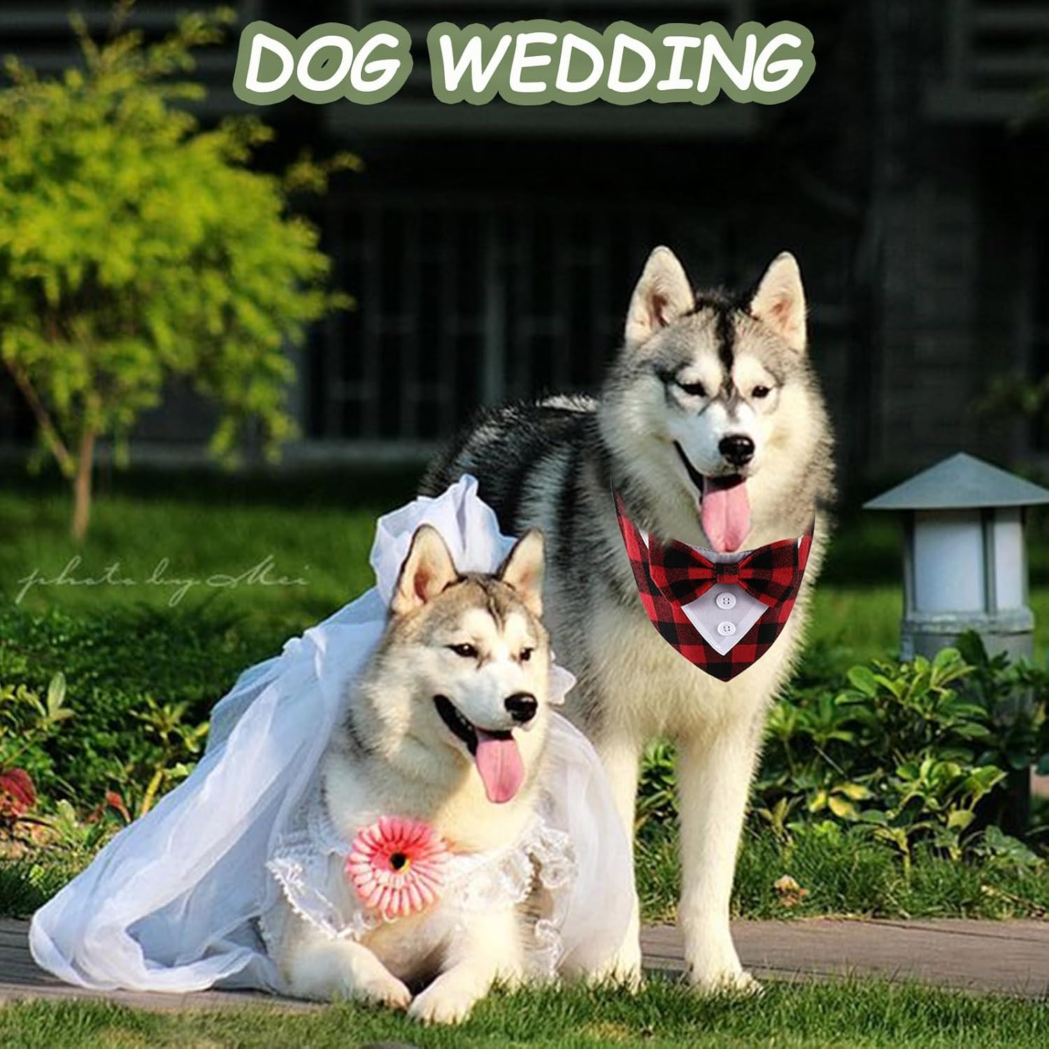 KASESSS Dog Tuxedo Bandana, Dog Bandana with Bow, Formal Dog Neckerchief Cotton, Dog Bow Tie Bandana with Red Plaid Bow, Adjustable Velcro Dog Wedding Bandana, Dog Bandanas for Medium Large Dog(L) image number 6