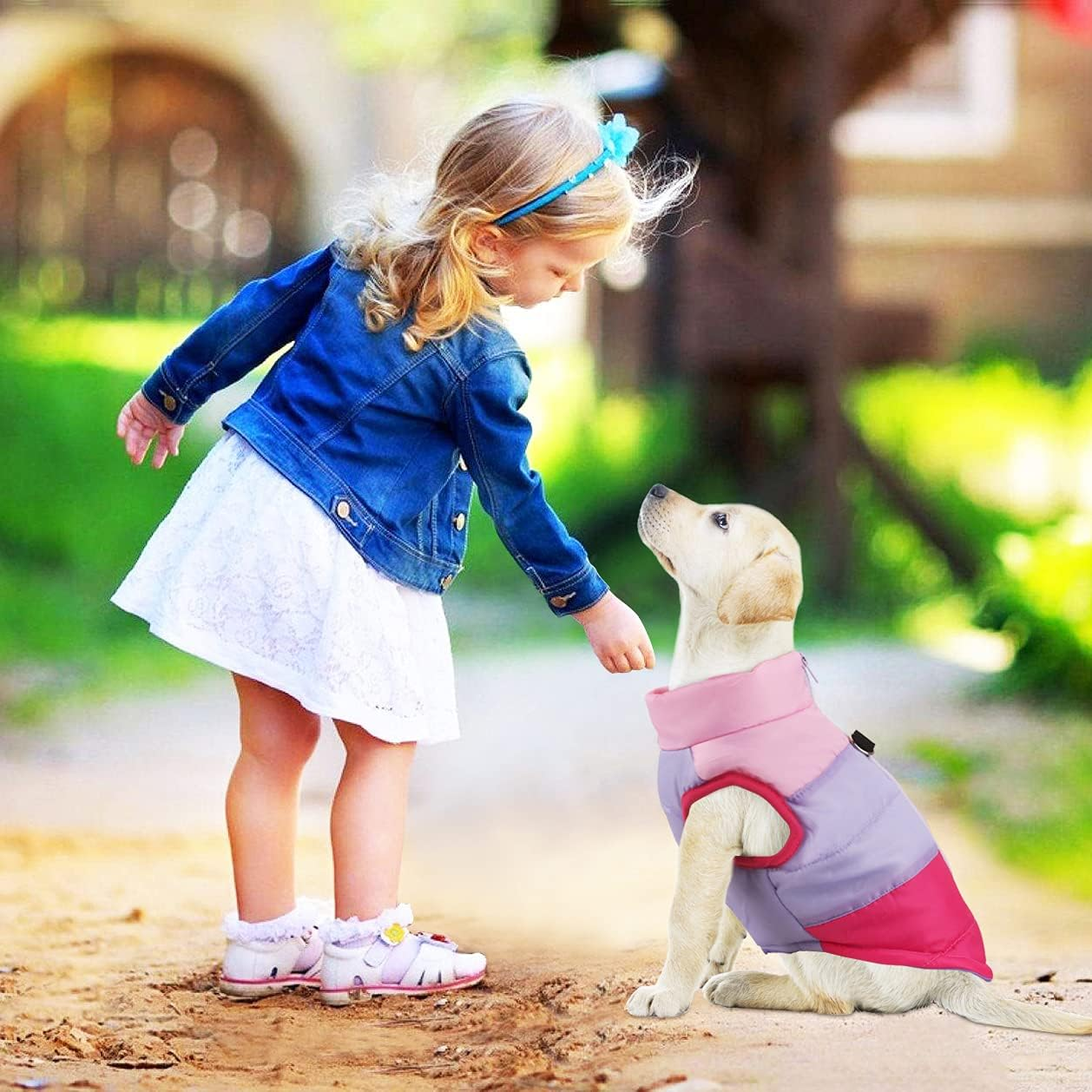 Idepet TM Pet Dog Cat Coat with Leash Anchor Color Patchwork Padded Puppy Vest Teddy Jacket Chihuahua Costumes Pug Clothes XS S M L (S, Rose) image number 4