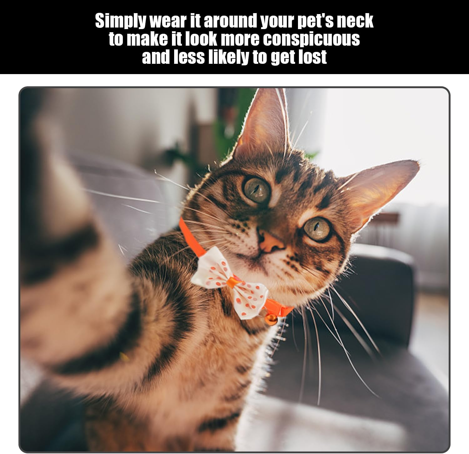 IDNVFY 15 Pieces Bending Half, Small Dog Collar, Cartoon Decorative Collar, Adjustable Pet Chain. image number 5