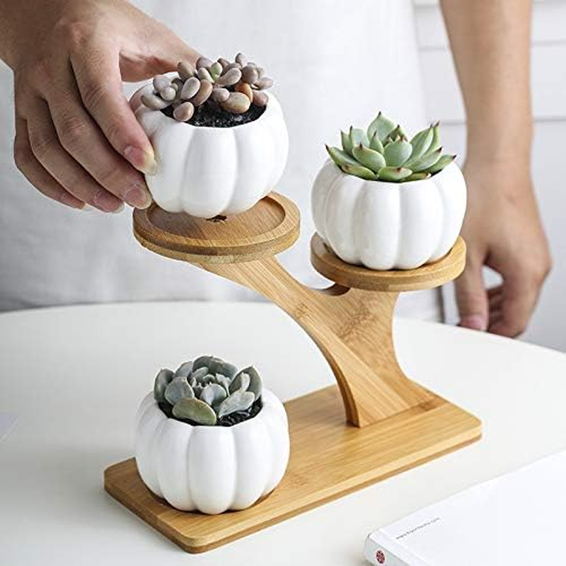 3Pcs Pumpkin Succulent Pots Bamboo Wood Shelf Flower Pot Stand Holder, Modern Minimalist White Ceramic Succulent Planter Pot for Office, Desk, House Balcony（Flower Pot Not Included）