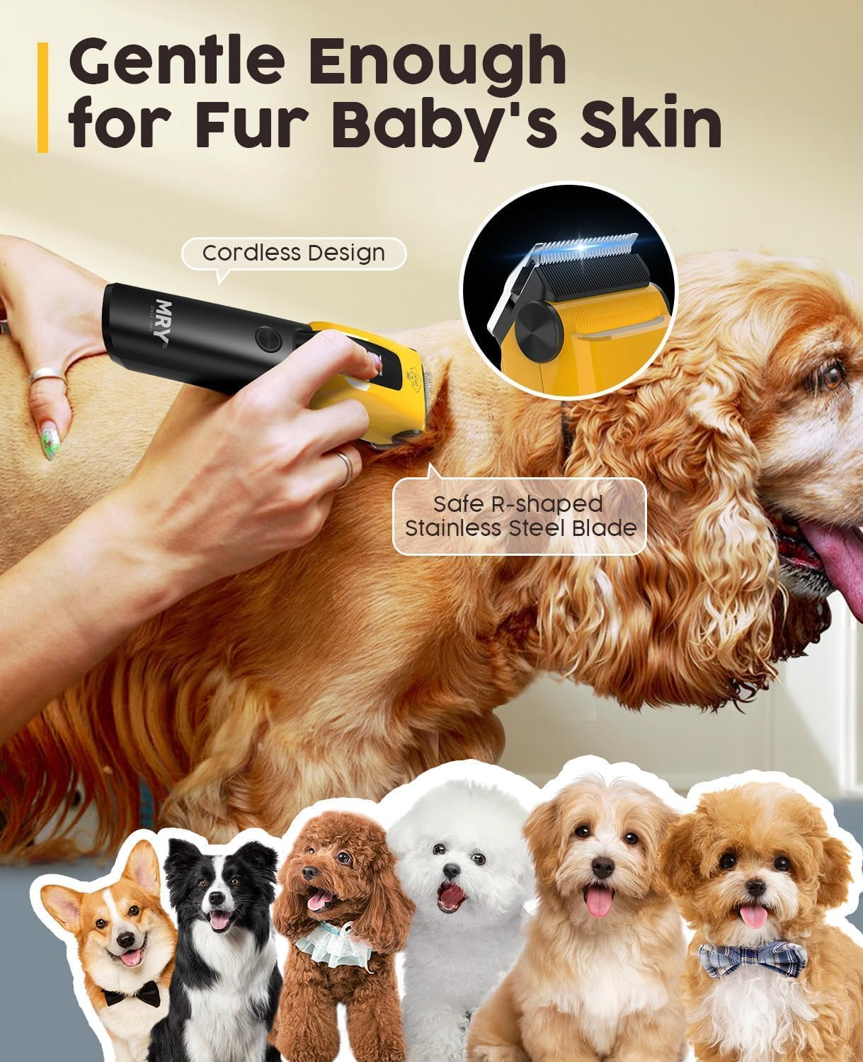 Dog Grooming Kit with 6 Guide Combs, USB Rechargeable Dog Clippers, Low Noise Cordless Electric Pet Hair Trimmers Set for Small Large Dogs Cats image number 2