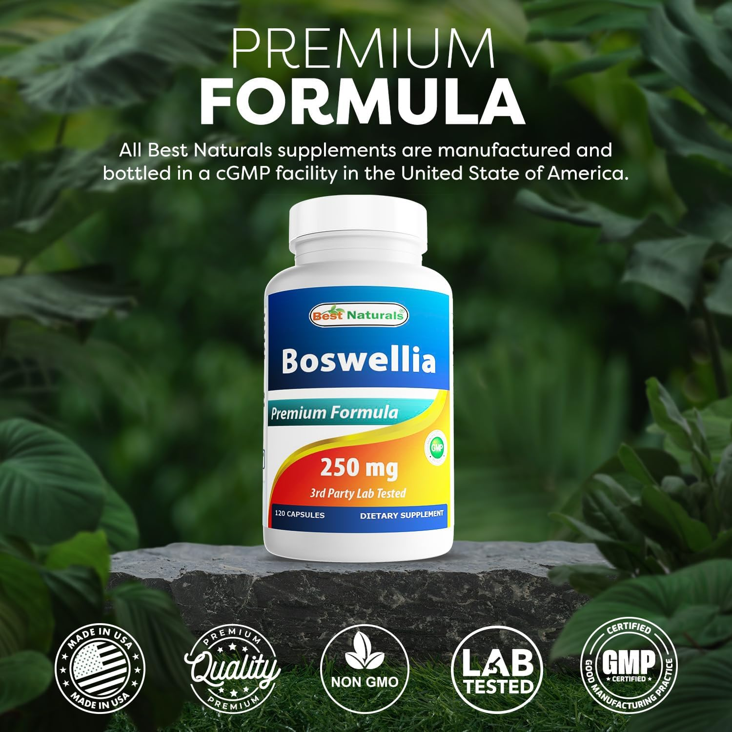 Best Naturals Boswellia Serrata Joint Health 250 Mg 120 Capsules - Standardized to 65% Boswellic Acid image number 2