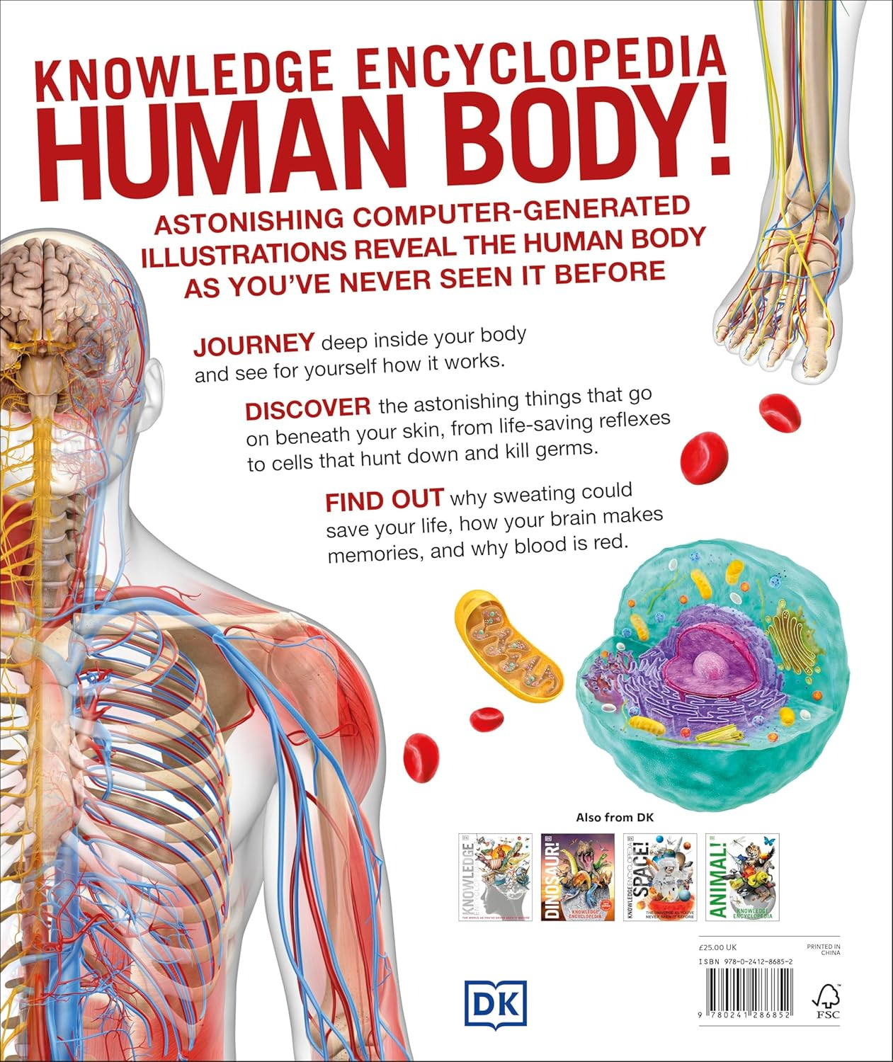 Knowledge Encyclopedia Human Body!: Your Amazing Body as You'Ve Never Seen It Before image number 1