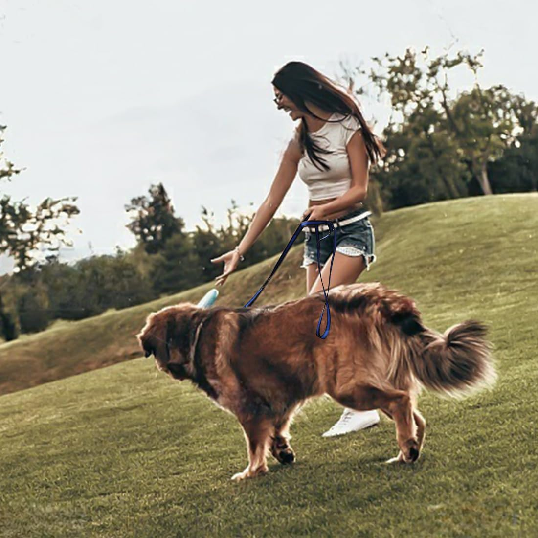 Mi Metty Dog Lead, 8 Ft Bungee Dog Lead with 2 Padded Handles, Strong Dog Lead, Dog Lead for Medium, Large Dogs (Black, 2 Pack, 8 Ft/2.5 M) image number 3