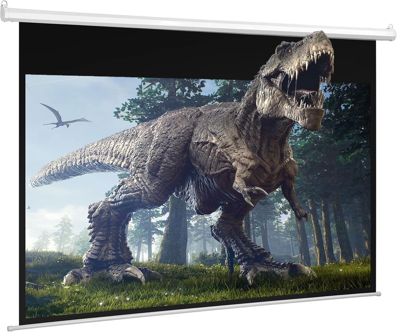 OGL Projector Screen 100 Inch 16:9,Auto-Locking Portable Projection Screen for 4K 3D 1080P HD, Movie Screen for Indoor Outdoor Home Theater Office Movies image number 5