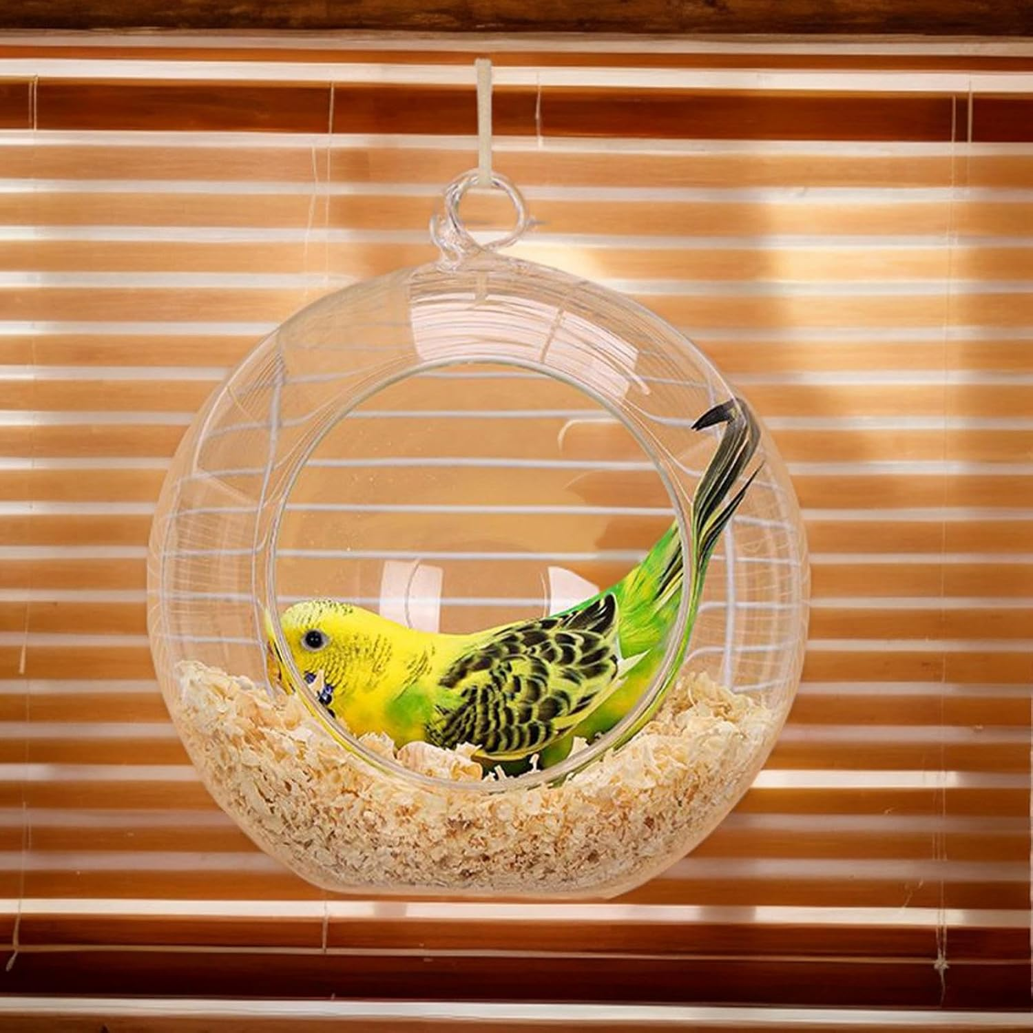 Bird House for Cage | Hangable Parrot House - Hangable round Swing Bed with Wood Chips Clear Washable for Breeding Canary Parakeet Finch Outdoor Garden Tree image number 5