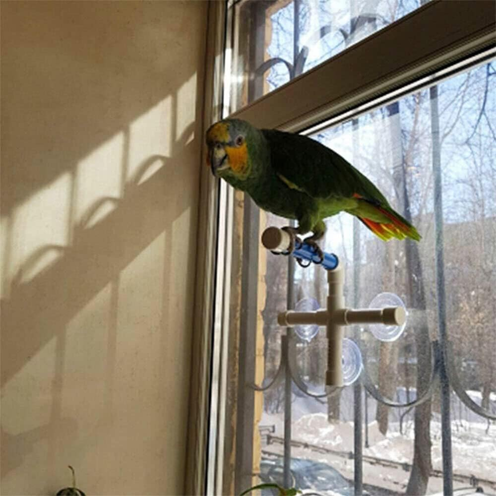 2X Bird Perch Stand Parrot Play Paw Grinding Stands Rack Shower Bath Platform Toys image number 5