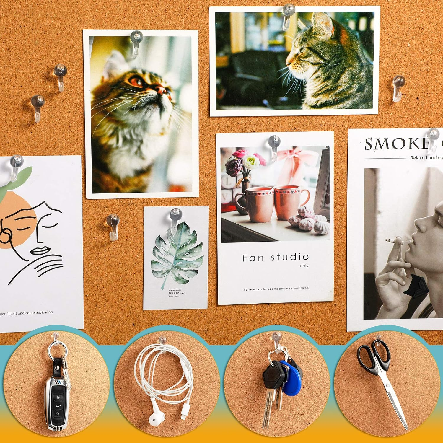 Push Pin Hooks Plastic Heads Pin Tacks Clear Wall Thumb Tacks Hanging Nails Decorative Push Pins for Cork Bulletin Board Map Photos Calendar, Home Office Supplies, Transparent(50 Pieces) image number 4