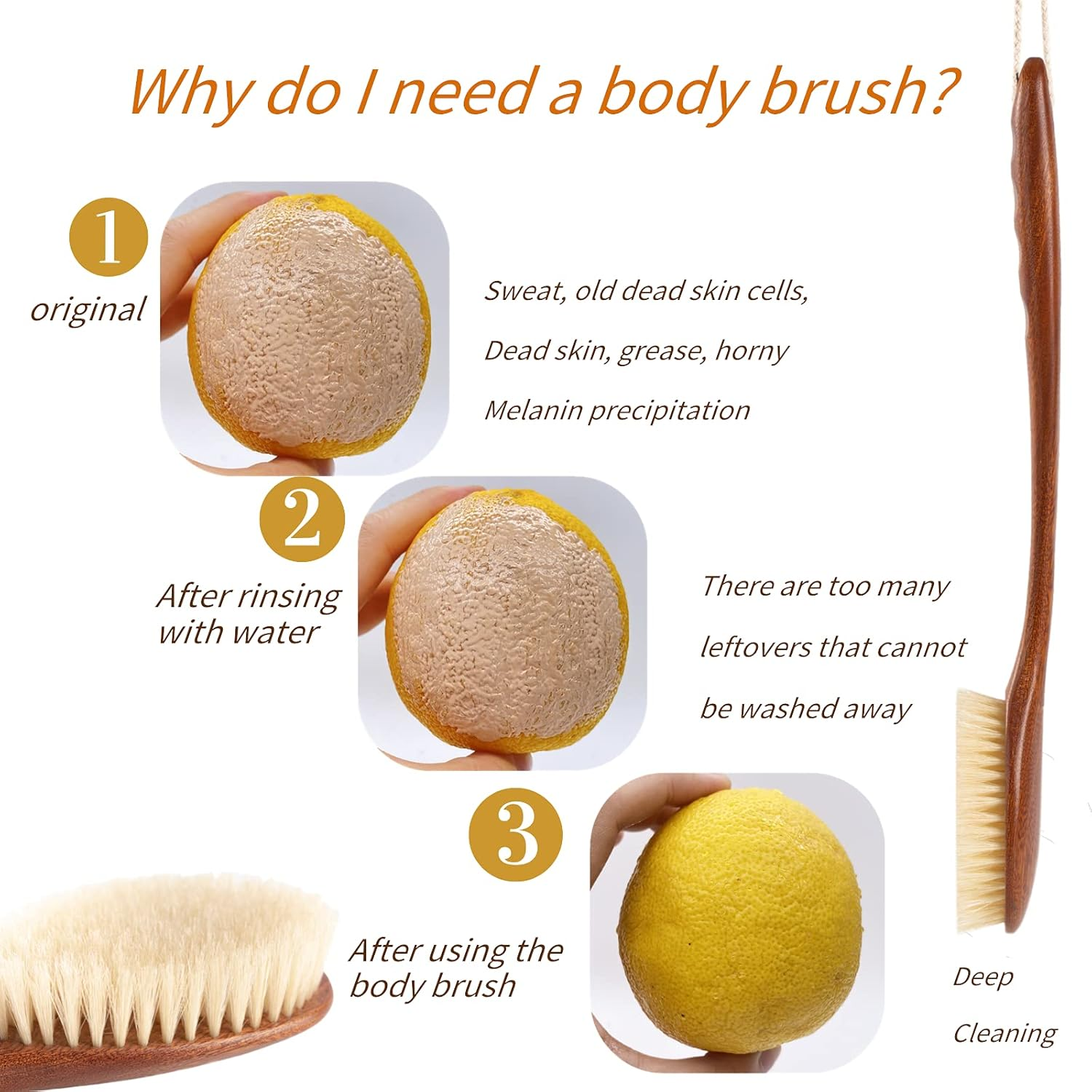Focused on the Bathing Experience with Dry Brushing Body Brush, Long Wooden Handle with Back Scrubber ,Shower Brush for Exfoliator Skin and Remove Dead Skin Cells,For Advanced Users Dry Body Brush image number 2