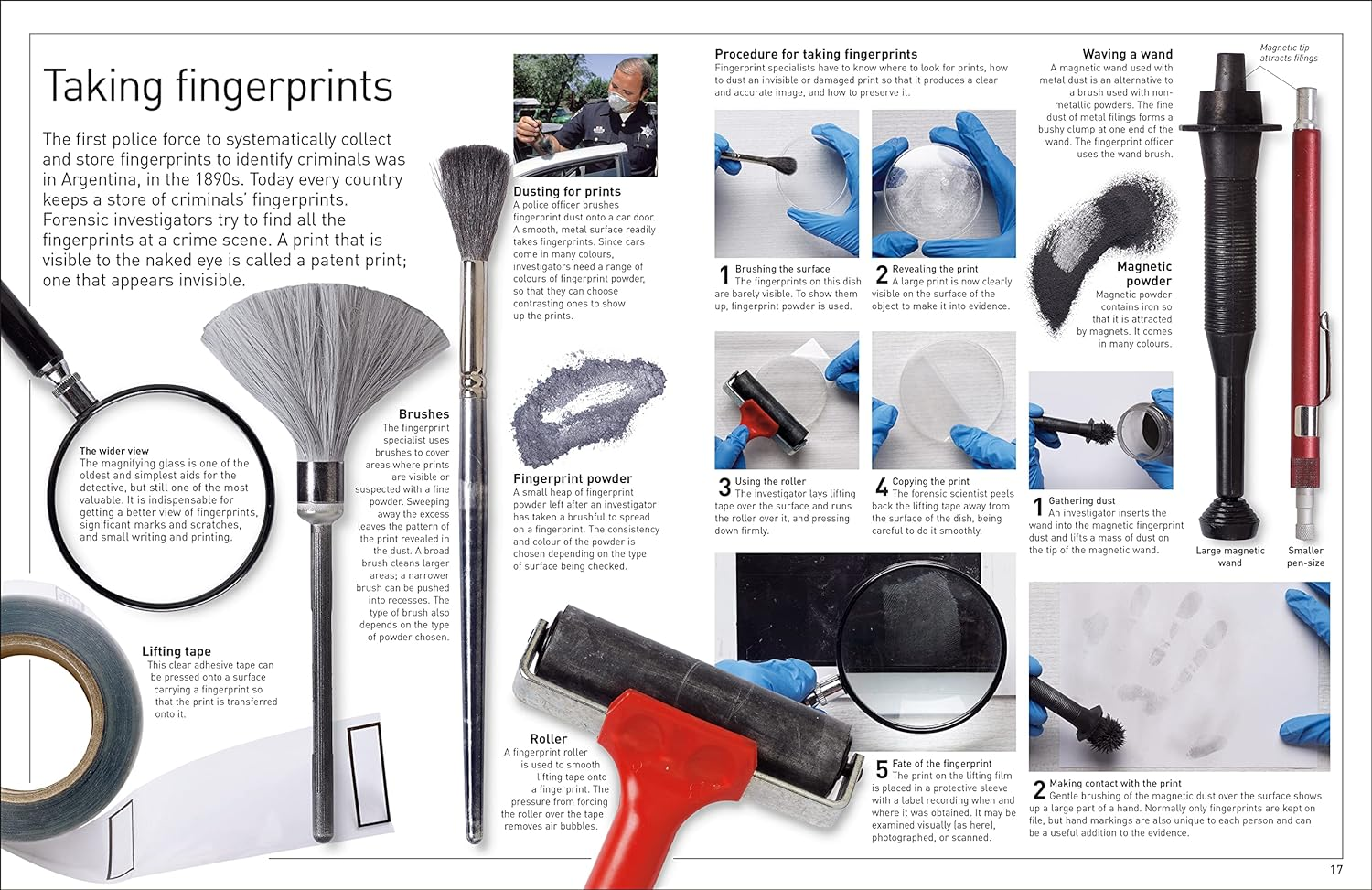 Forensic Science: Discover the Fascinating Methods Scientists Use to Solve Crimes image number 2