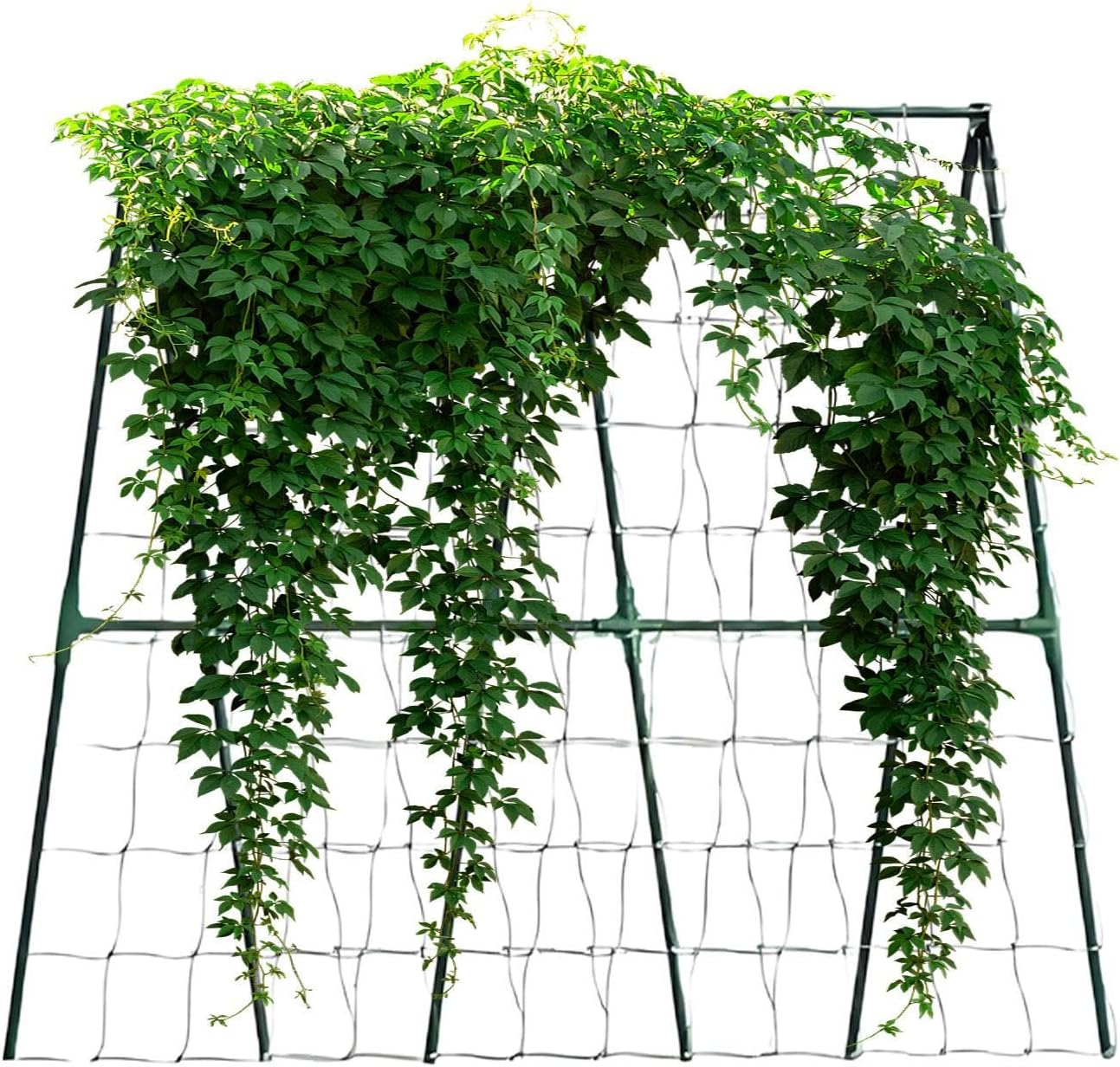 Trellis for Cucumbers - Tomato Trellis | Metal Expandable Gardening Growing Supplies Accessories Support for Grape Pea Bean Tomato Cucumber image number 1