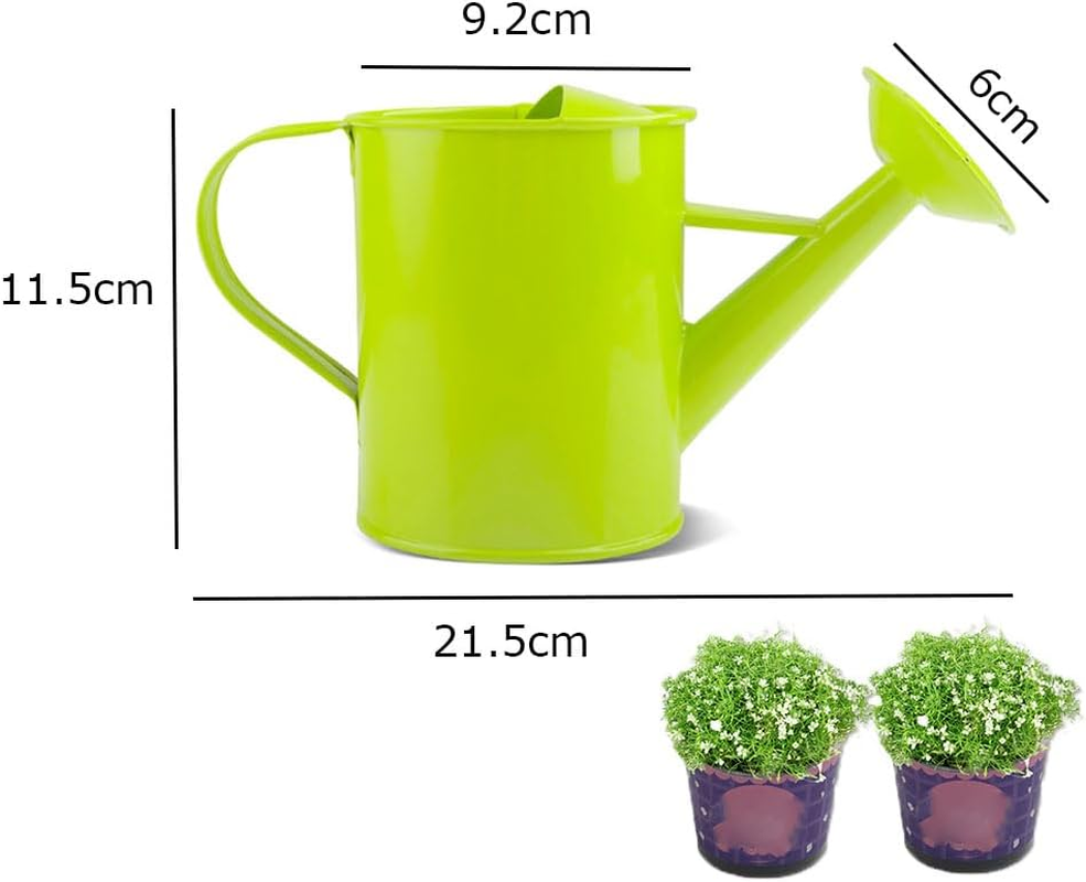Esforzarse Watering Can Indoor, 600Ml Gardening Metal Watering Can, Watering Can for Indoor Plants, Small Water Can,Watering Can for Indoor and Outdoor Bonsai and Gardens,Water Can for Plants image number 1