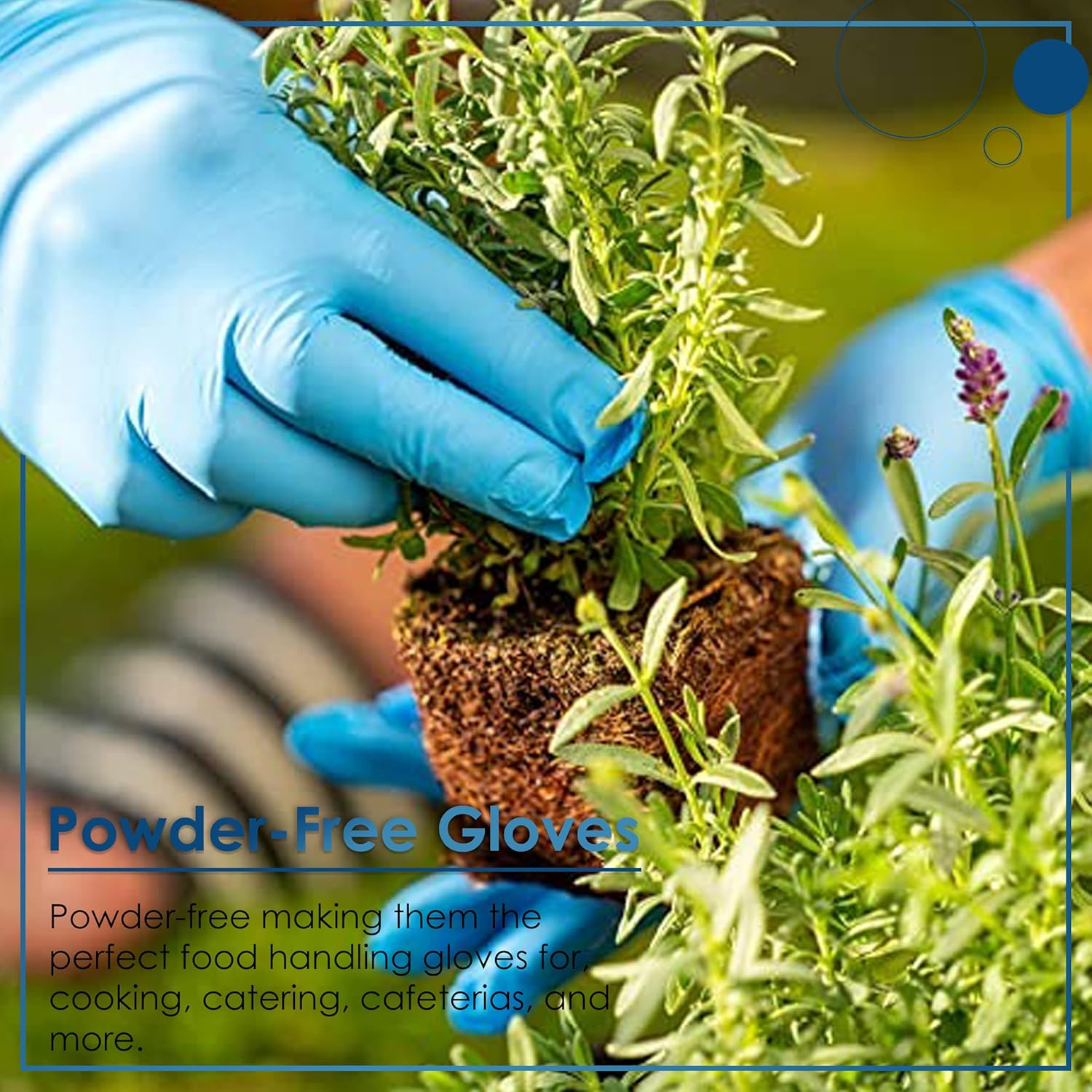 Medicom Powder Free Vinyl Gloves 100-Pieces, X-Large, Blue image number 4