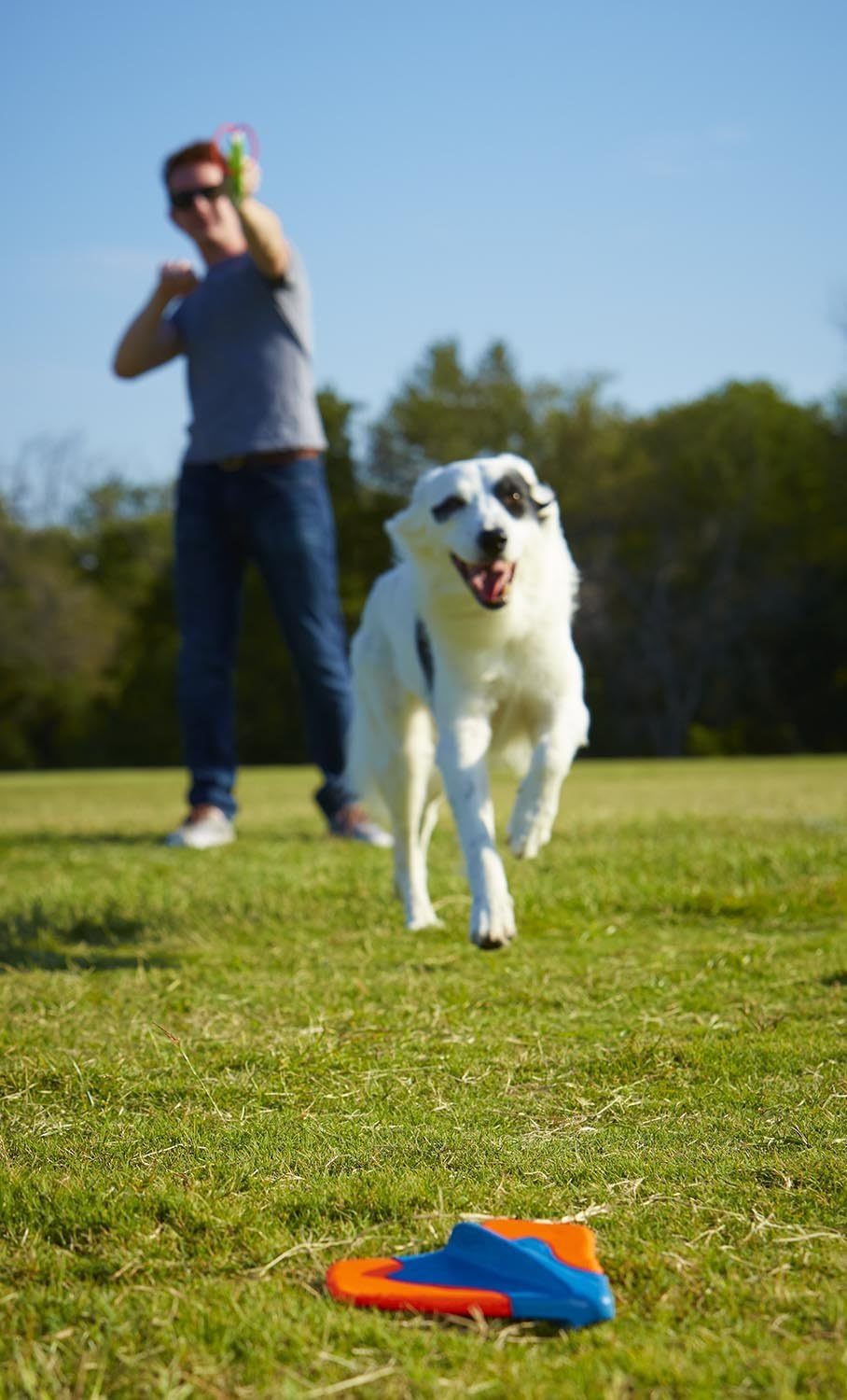 Chuckit! Ultra Wing Dog Toy image number 4