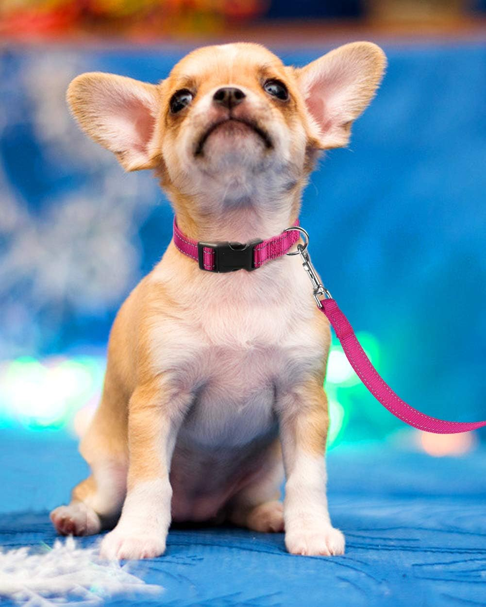 Funtags Reflective Dog Collar, Sturdy Nylon Collars for Puppy and Extra Small Girl and Boy Dogs, Adjustable Dog Collar with Quick Release Buckle,Pink,3/8" Width