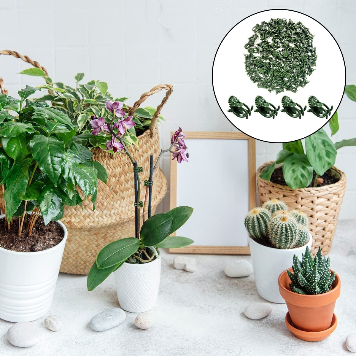 Plant Clips, 100PCS Orchid Support Clips for Supporting Stems Vines Grow Upright (Green)