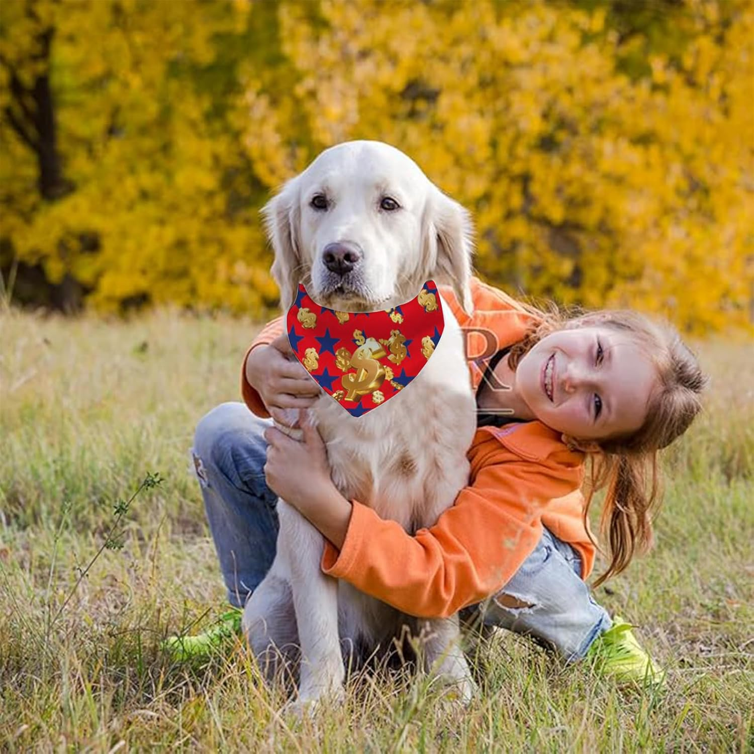 BSITSSS Pack of 3 Dog Bandanas, American Dollar Dog Bandana, Neckerchiefs, Dog Scarves, Dog Scarf Accessories for Dogs and Cats Birthday image number 4