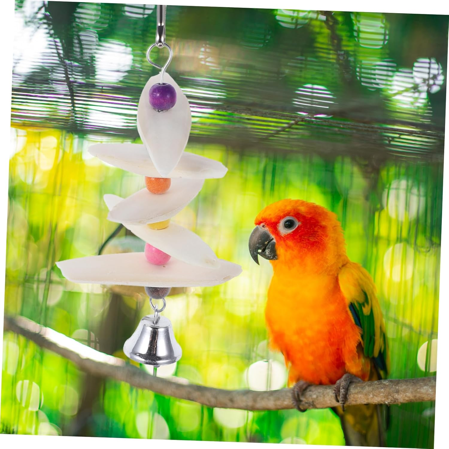 BESPORTBLE Natural Cuttlebone Toys for Pet Birds Parrot Chewing Toy Bird Beak Sharpener image number 2