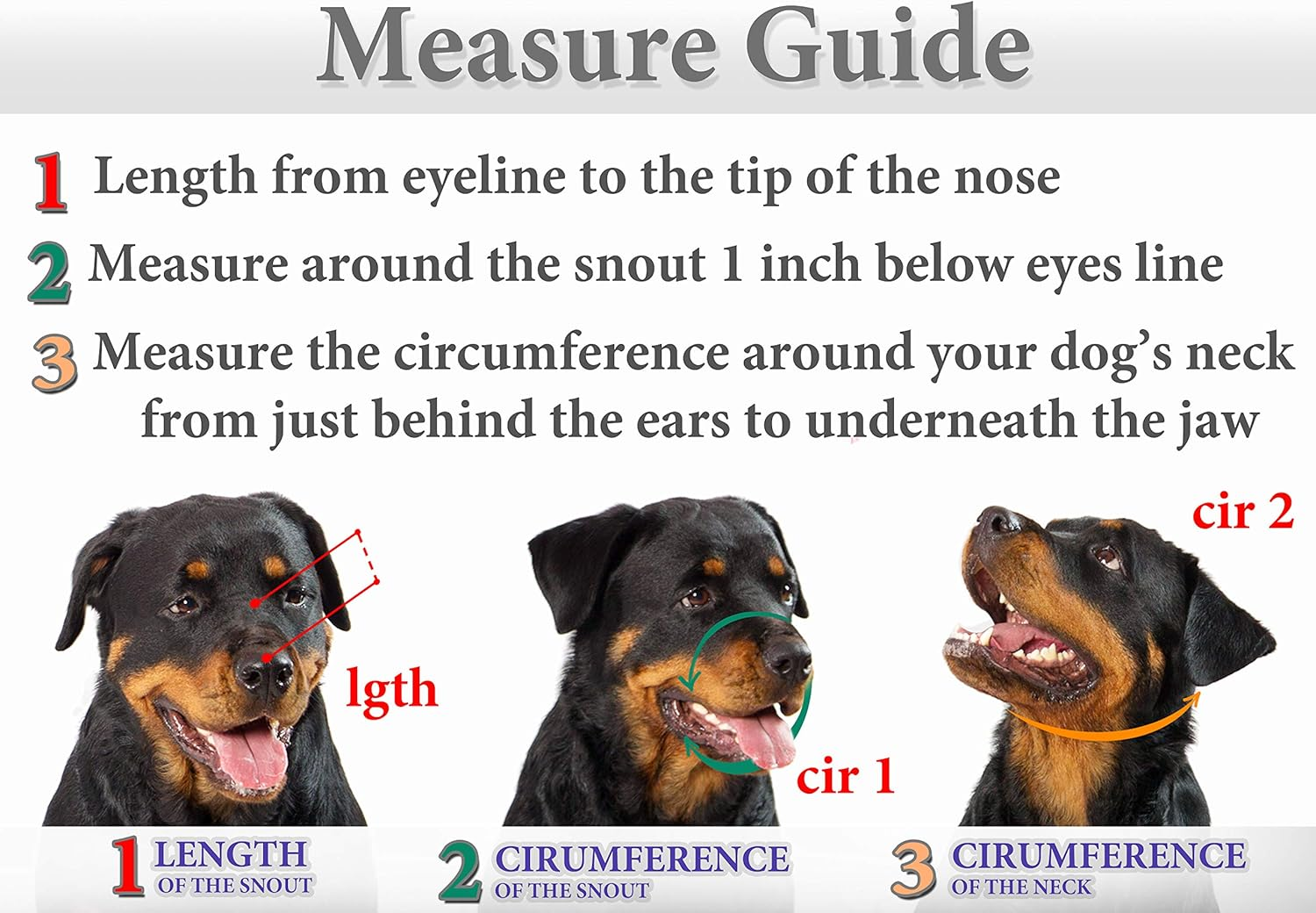 Petristor Metal Muzzles for Dog Rottweiler № 2 Wire Basket Adjustable Leather Straps Leather Adjustable the Circumference Is 10.2-14.5 in Length 2.7 3.5 image number 5