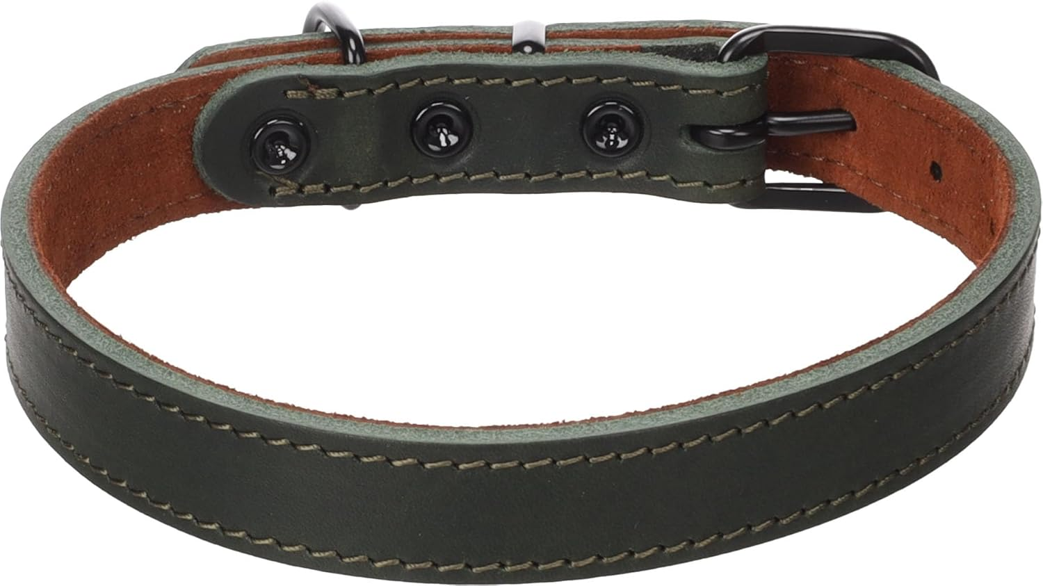 Dog Collar Montana Green M 37-45Cm 20Mm image number 1