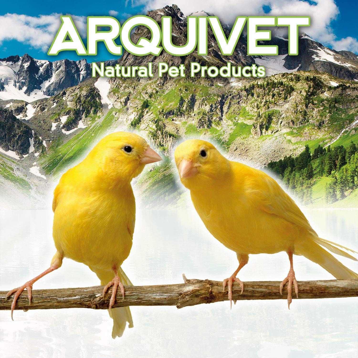 Arquivet 8435117854956 &ndash; Parrot Stainless 0.56 Feeder L