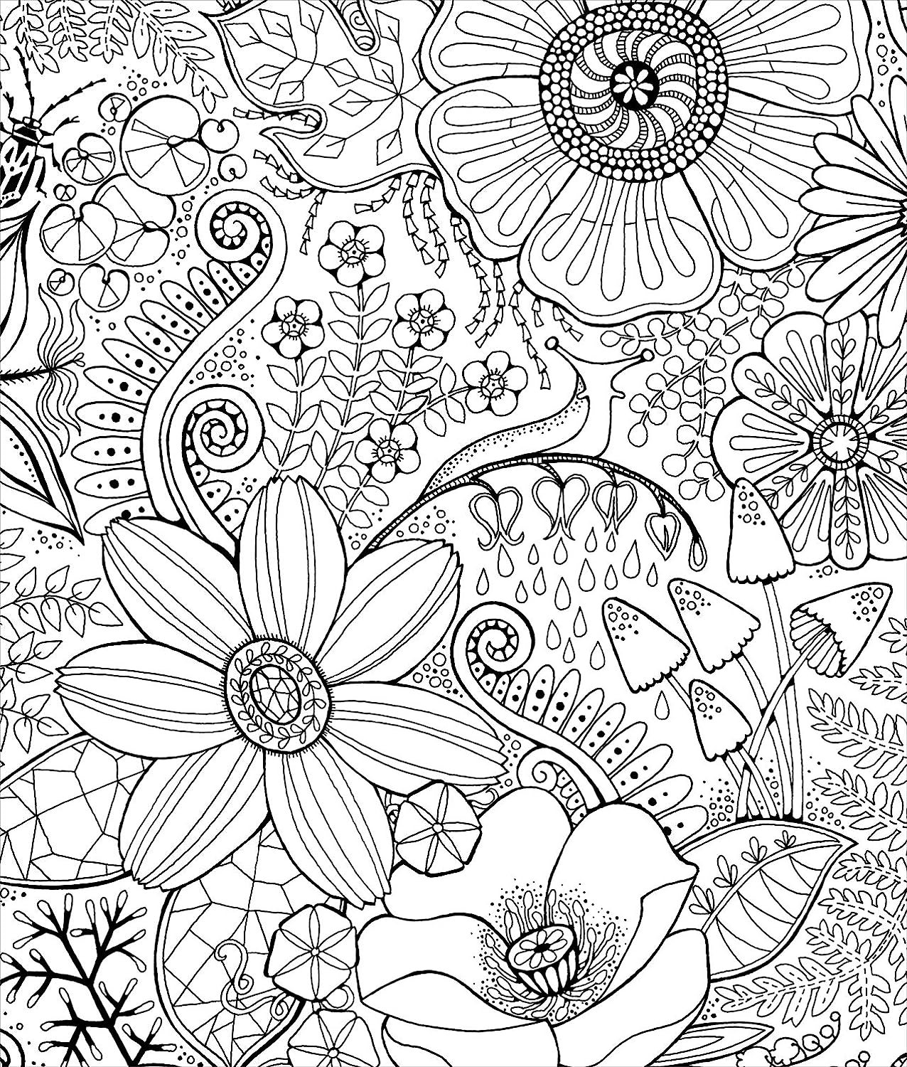 Color & Frame Adult Coloring Book - in the Forest image number 2