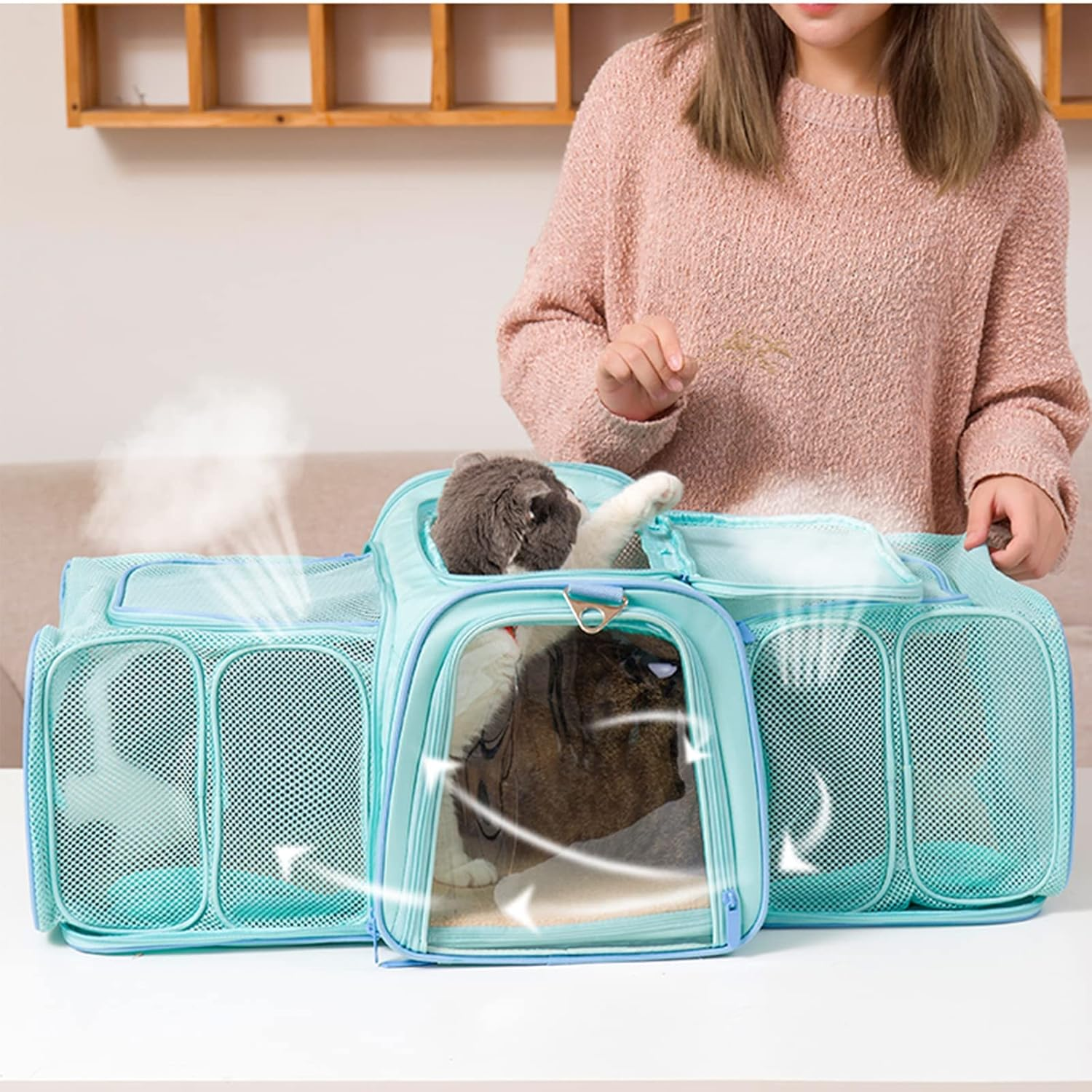 Cat Carriers, Pet Carrier for Cats and Dogs image number 1