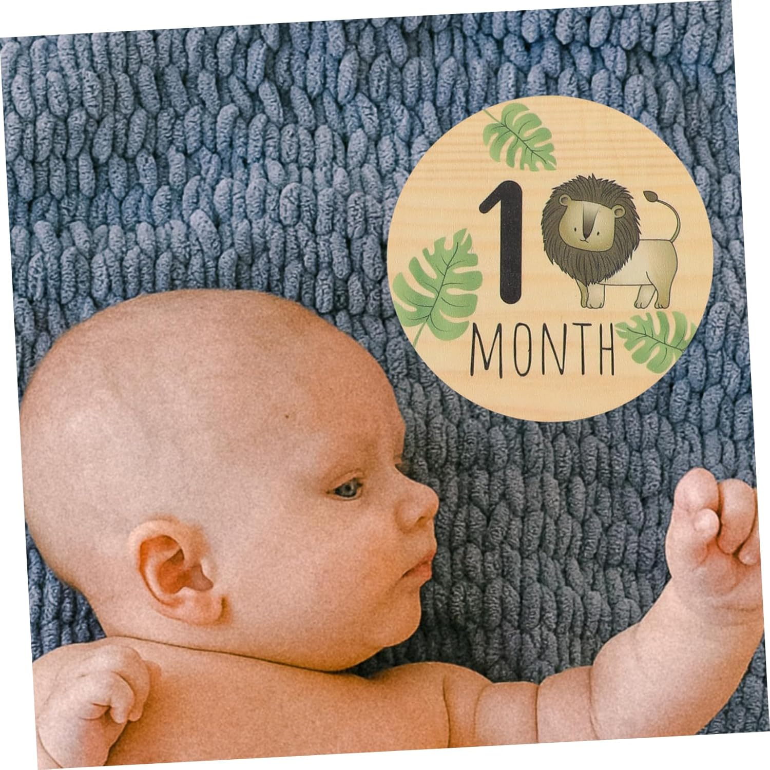 7Pcs Wooden Baby Milestone Signs for Nursery Infant Monthly Announcement Cards Cartoon Animals Double-Sided Sturdy Month Baby Milestones for Newborn Photography image number 1