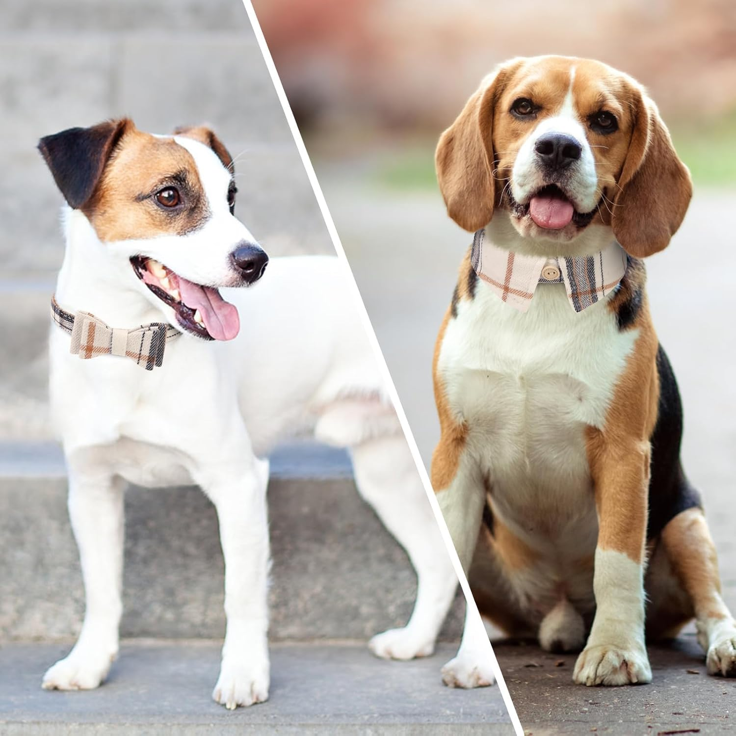 KOOLTAIL Small Dog Collar and Leash Set with Bowtie and Bells - Puppy Collar and Leash for Female/Male with Classic Plaid Matching Pattern, Soft Leather Leashes for Small Dogs Boys Girls, Shirt Plaid image number 4