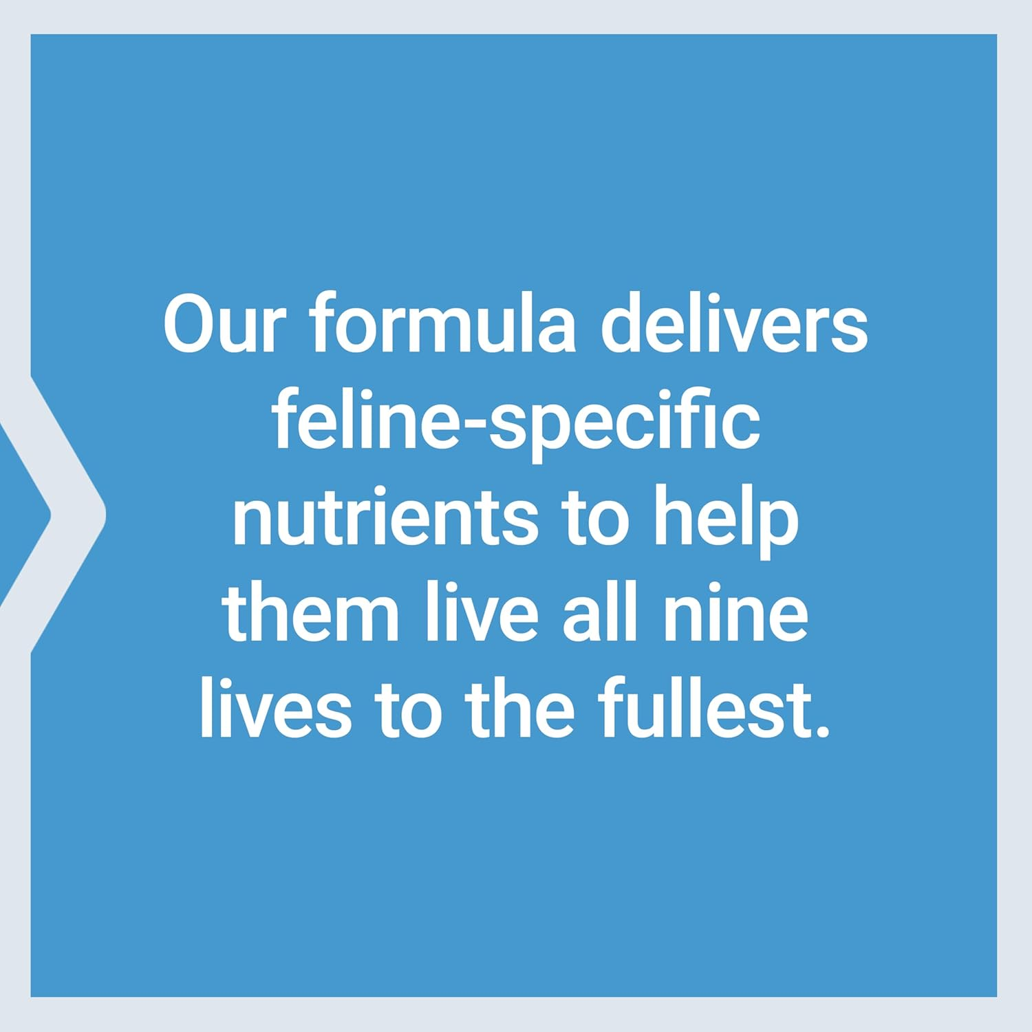 Life Extension Cat Mix 100 Grams Powder image number 2