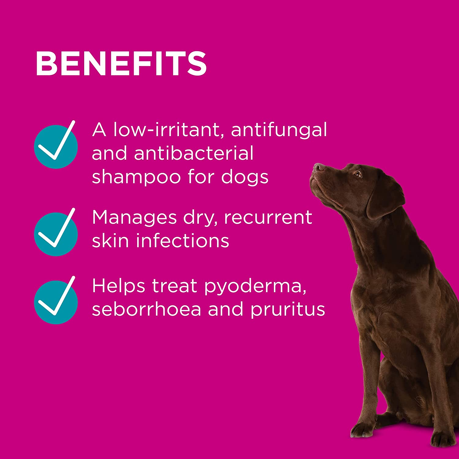 PAW by Blackmores Mediderm&reg; Gentle Medicated Shampoo for Dogs | Promotes Healthy Skin Conditions |200Ml image number 1