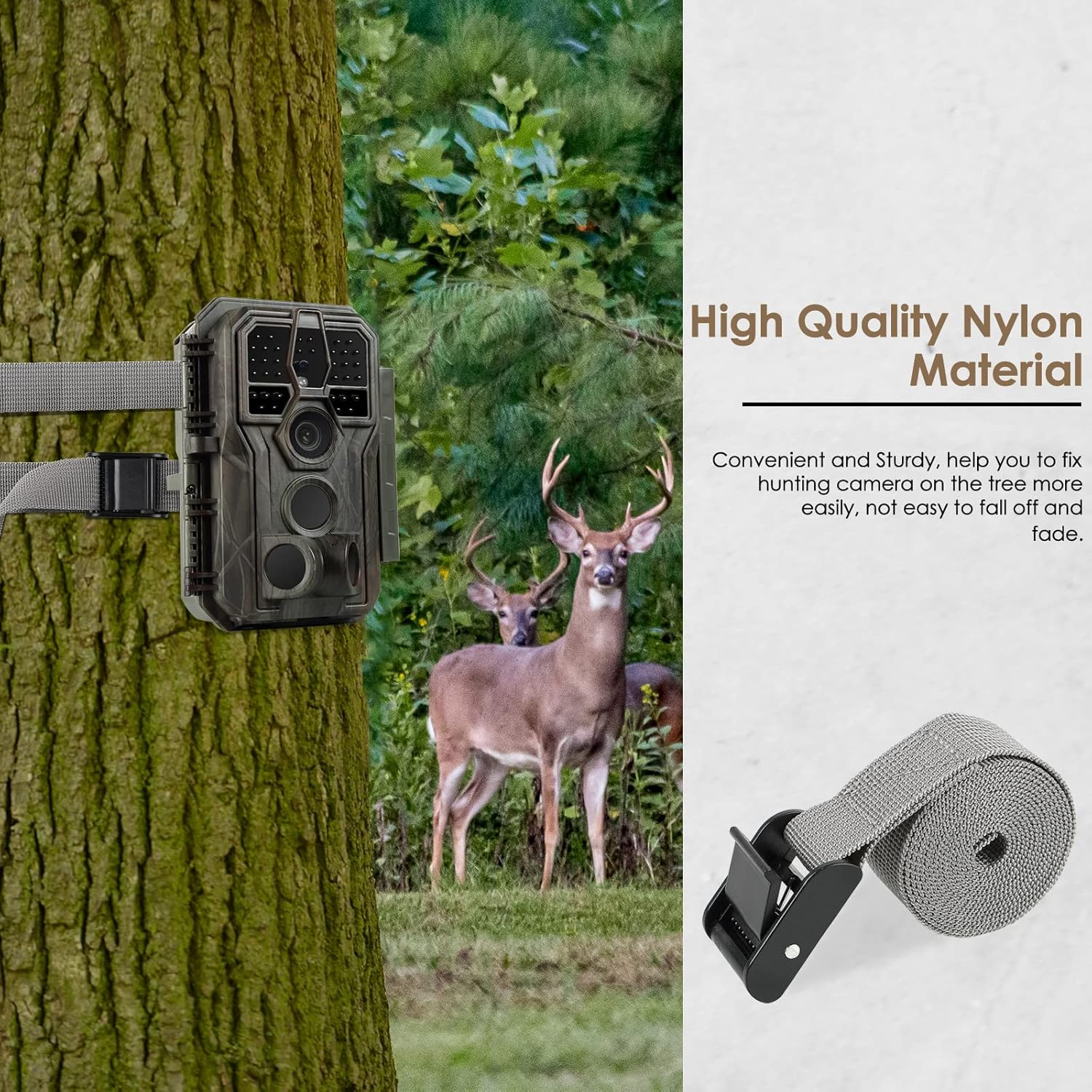 5 Pack Adjustable Tie down Cinch Straps, 150Cm/4.92 Feet Heavy Duty Nylon Lashing Straps with Cam Buckles Packing Straps for Securing Cargo, Motorcycle,Kayak, Surfboard,Trail Cameras image number 5