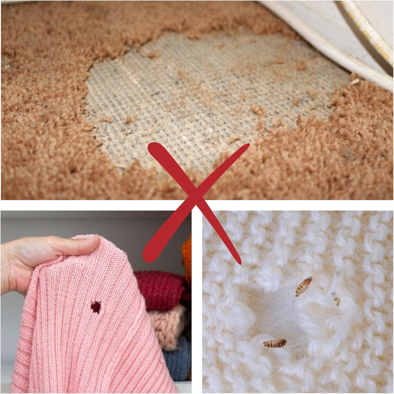 CARPET and CLOTHES MOTH TRAPS. 7 Pack of Toxin-Free, Sticky Pheromone Traps That Attract and Kill Carpet Moths and Clothes Moths. image number 6
