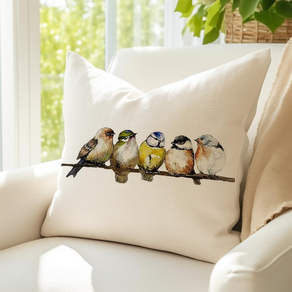 RABUSOFA Spring Summer Pillows Decorative Throw Pillows 20X20,Large Outdoor Bird Pillow Covers,Single Watercolor Hand-Painted Oil Painting Rustic Birds Square Pillow Cases for Couch Sofa