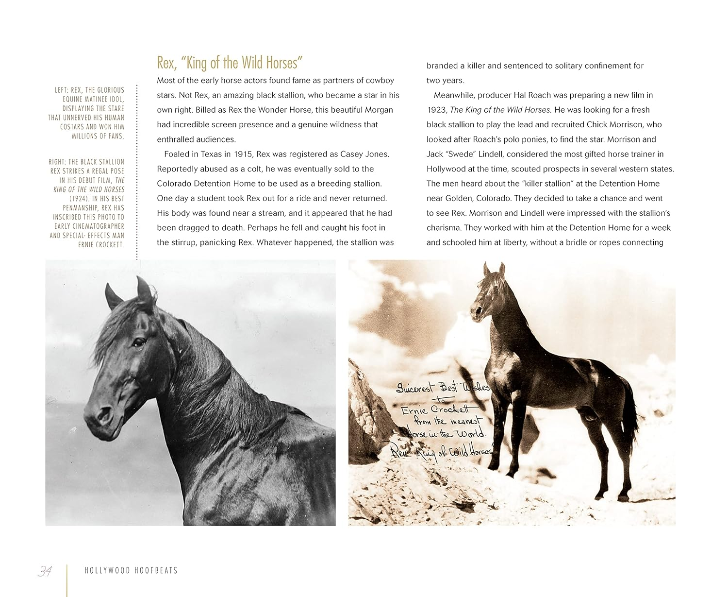 Hollywood Hoofbeats: the Fascinating Story of Horses in Movies and Television image number 6