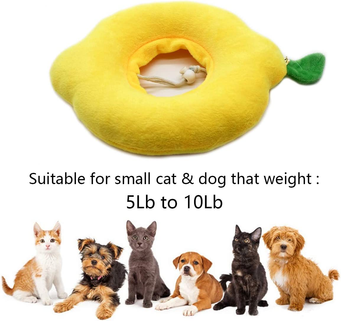 Pet Soft Lemon Adjustable Recovery Collar - Cat & Kitten Elizabethan Collar for after Surgery & Wound Healing image number 2