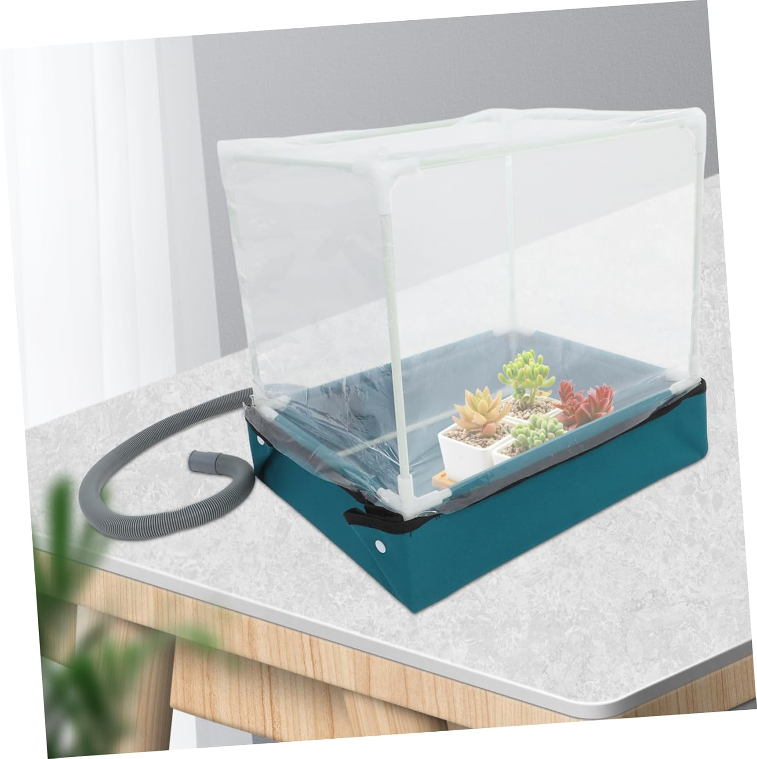 Succulent Planting Box Mini Greenhouse Indoor Plant Container Tabletop Plant Shelter Mushroom Fruit Cultivation Supplies image number 6